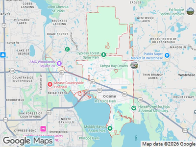 Map Of Oldsmar, FL