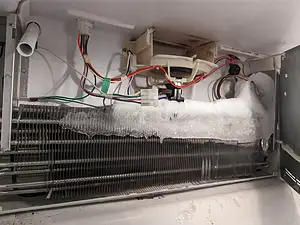 Refrigerator Repairs, Tampa Bay, FL Refrigerator Repairs, Tampa Bay, FL